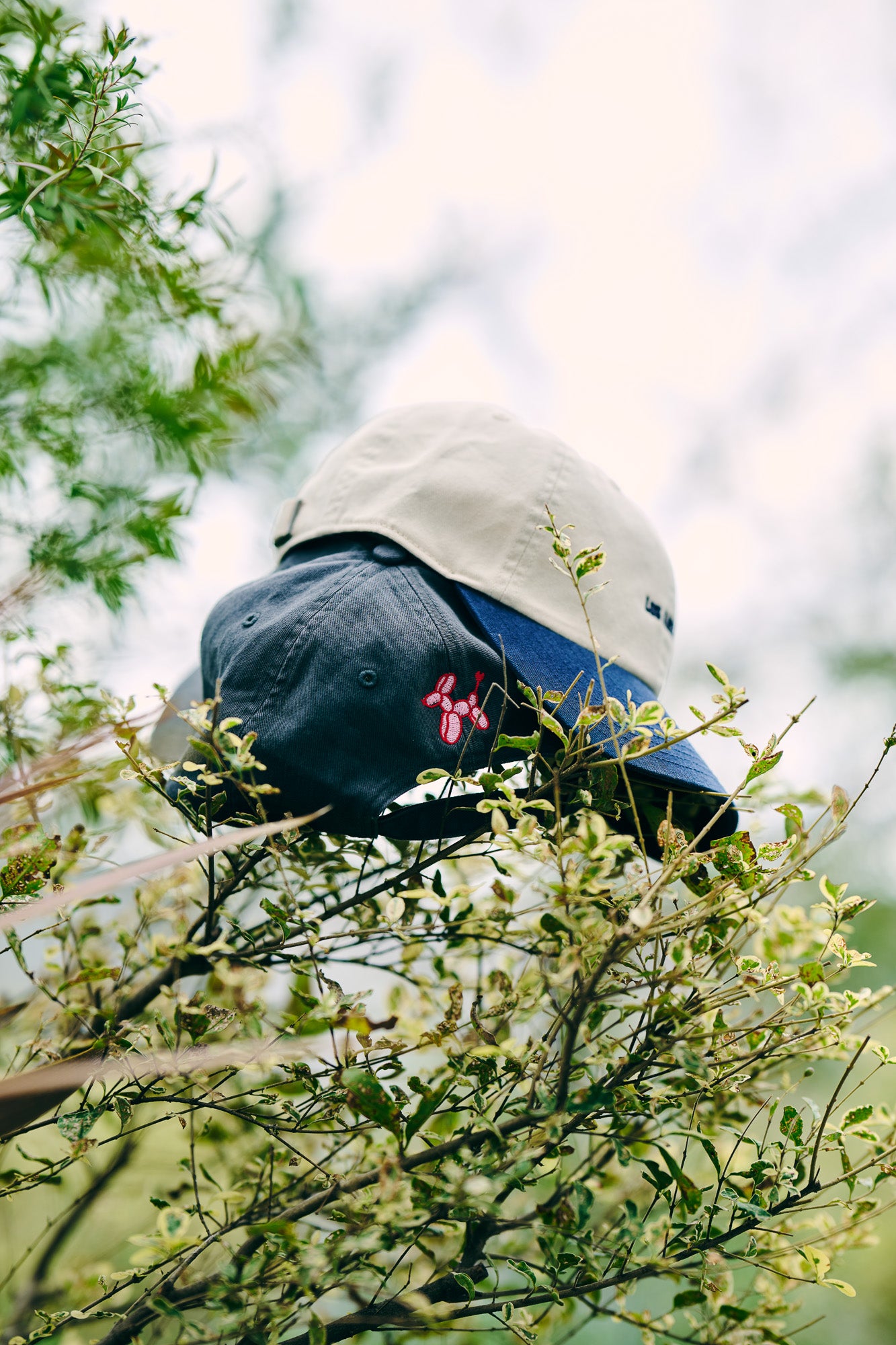 Souvenirs(スーベニアーズ) ｜ オフィシャルサイト