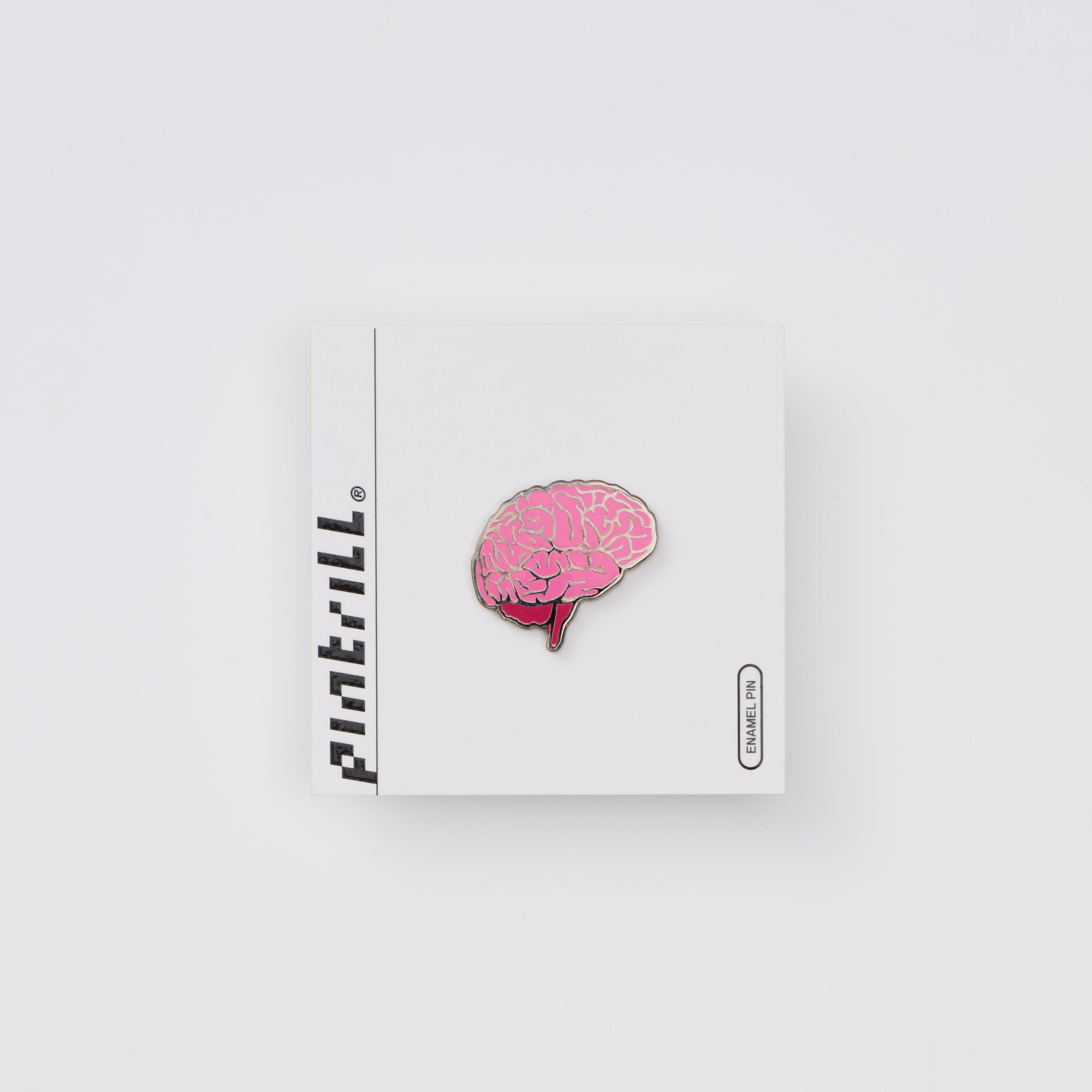 Pin Trill Anatomical Brain